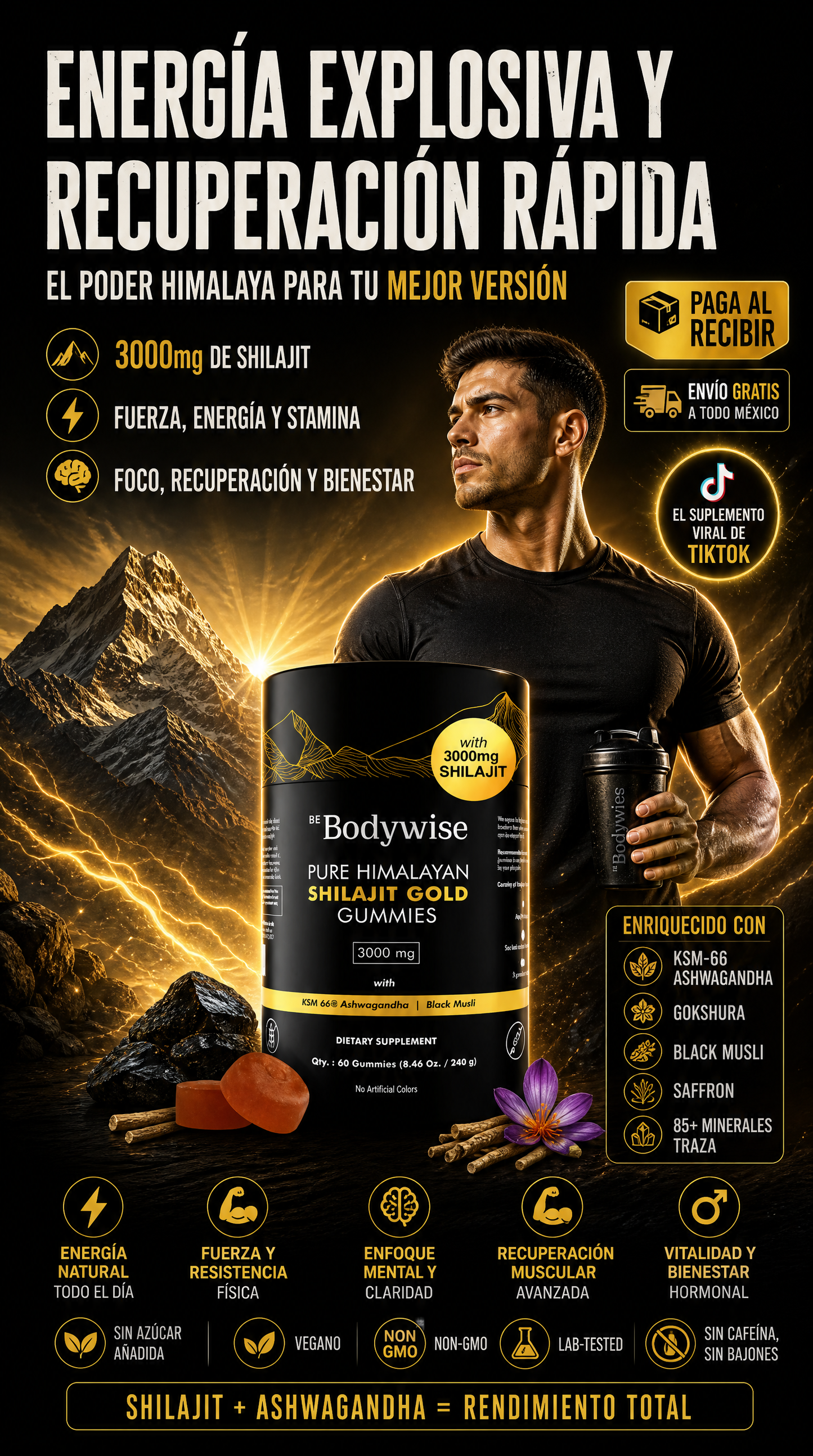 SHILAJIT GUMMIES